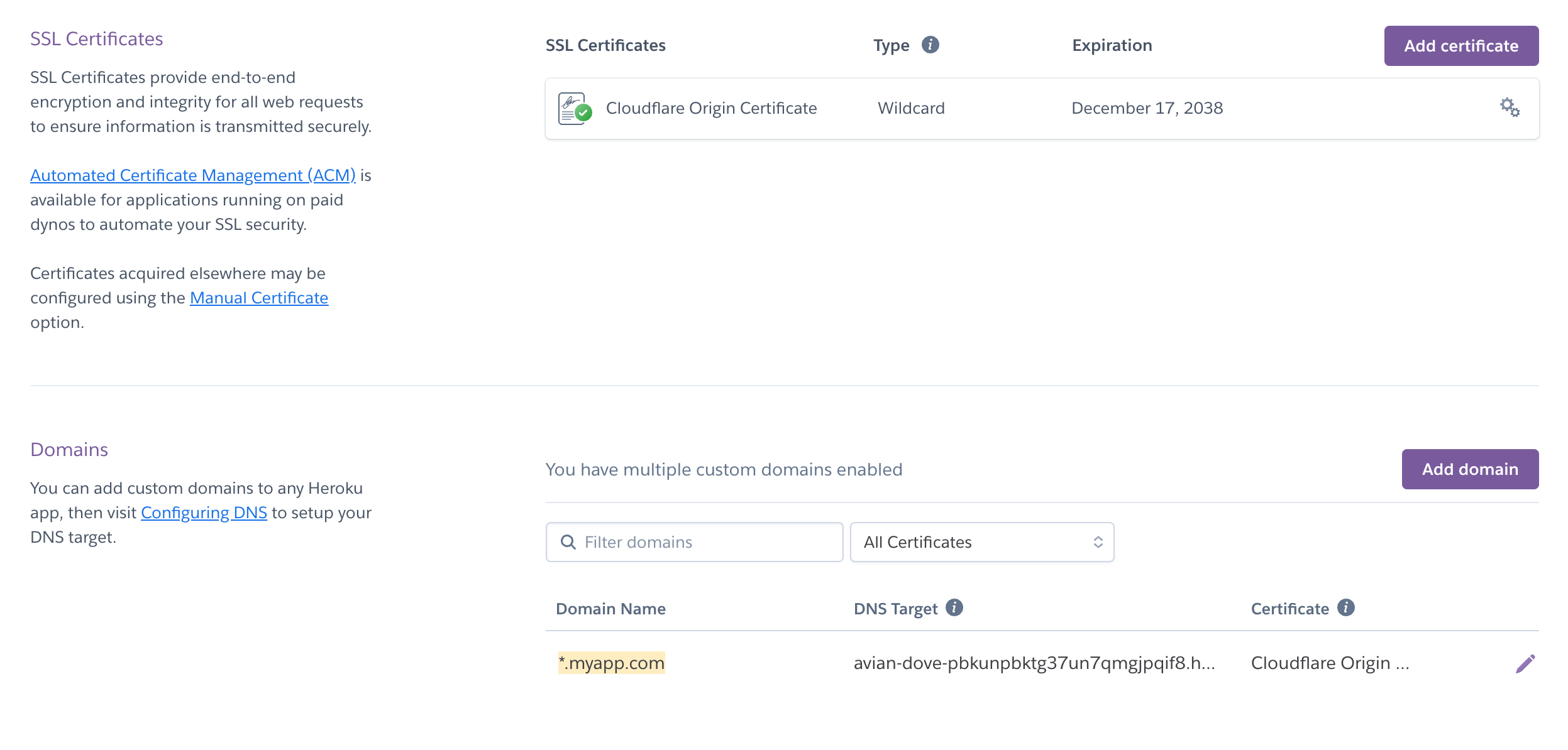 Heroku custom domain and SSL settings